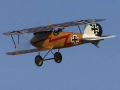 Vintage Albatros D.Va 1917 German WW1 Fighter